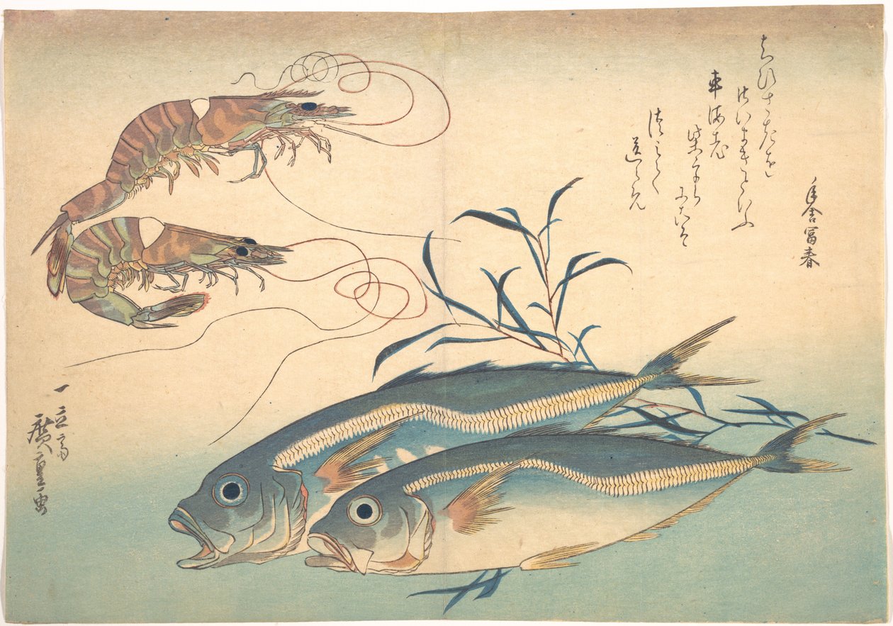 Poisson aji et crevette kuruma, de la série Uozukushi (Toutes les variétés de poissons) - Utagawa Hiroshige