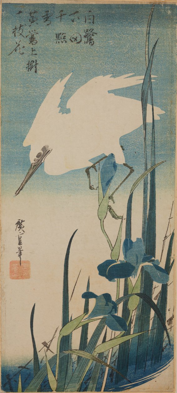Un héron blanc en vol et des iris bleus / Shobu to shirasagi - Utagawa Hiroshige