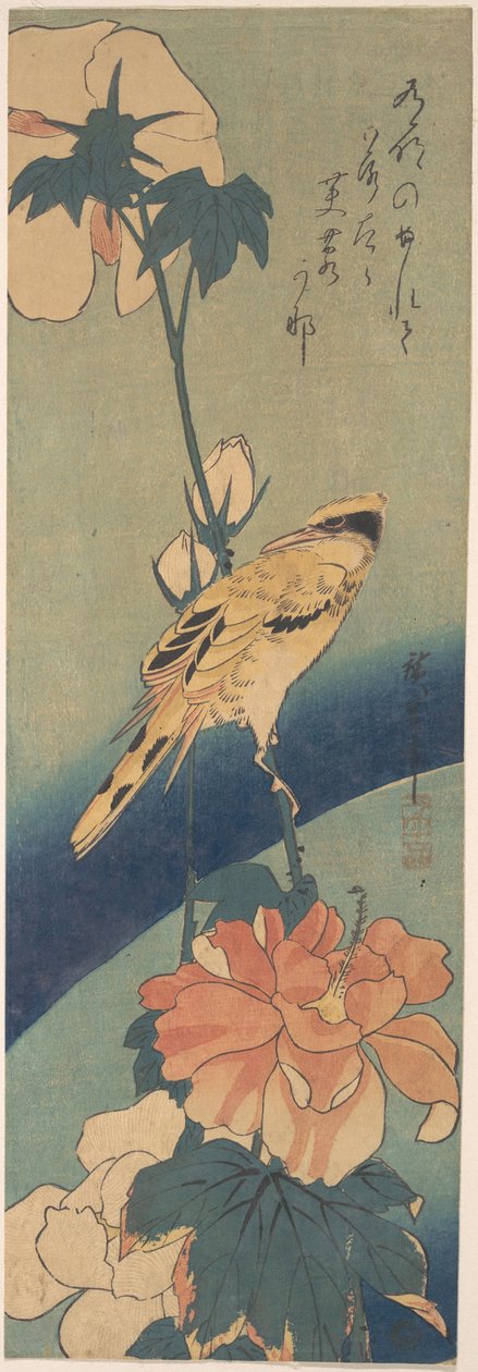 Schwarzrückenpirol auf einem Hibiskusstängel - Utagawa Hiroshige