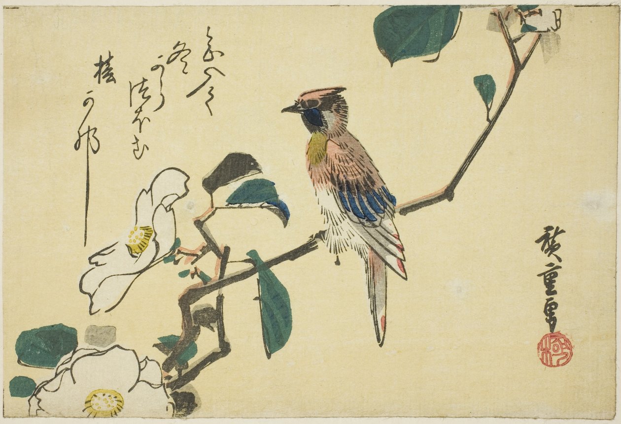Loriot à nuque noire sur une branche de camélia - Utagawa Hiroshige