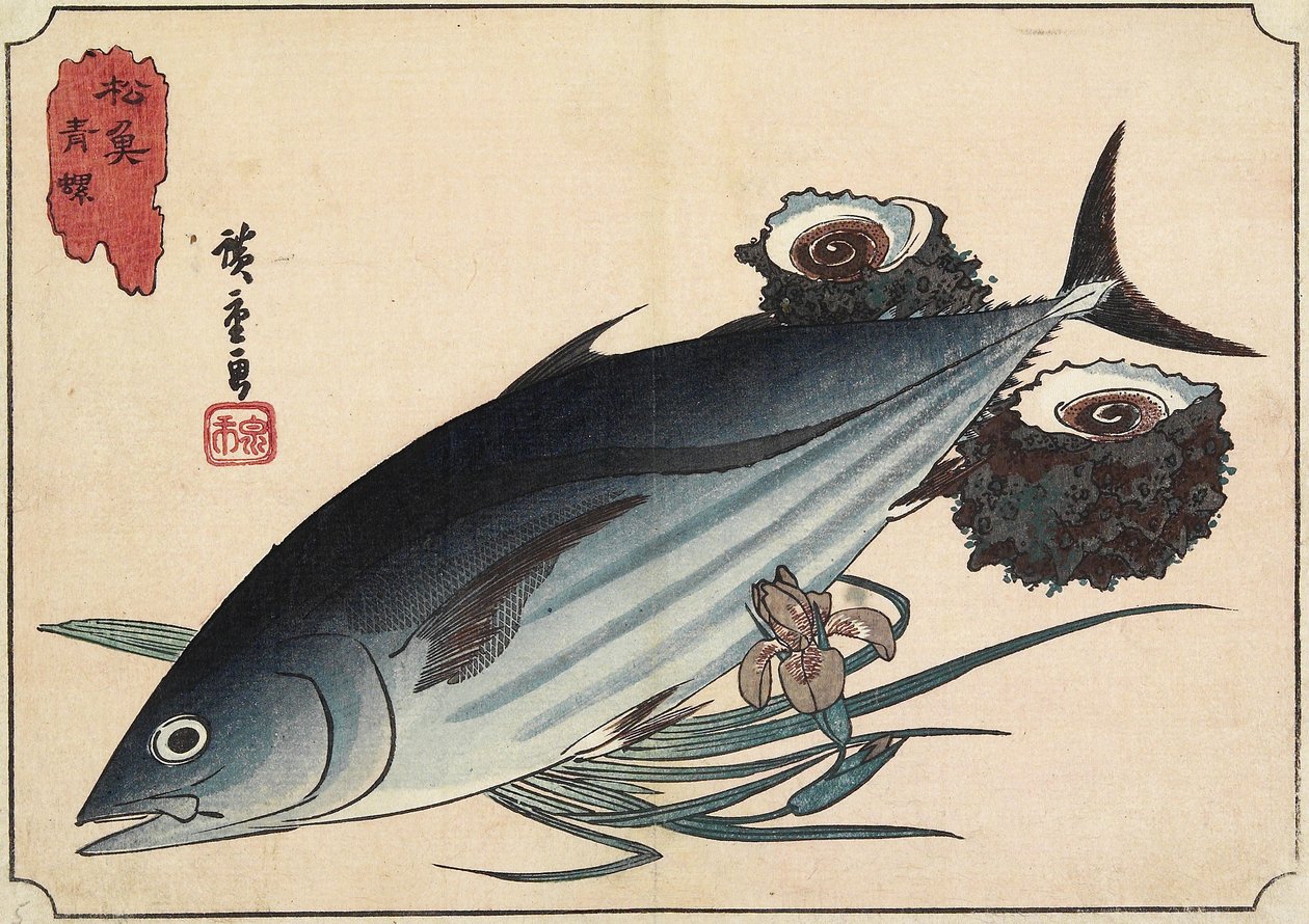 Bonite et Coquilles de Top, début du 19ème siècle - Utagawa Hiroshige