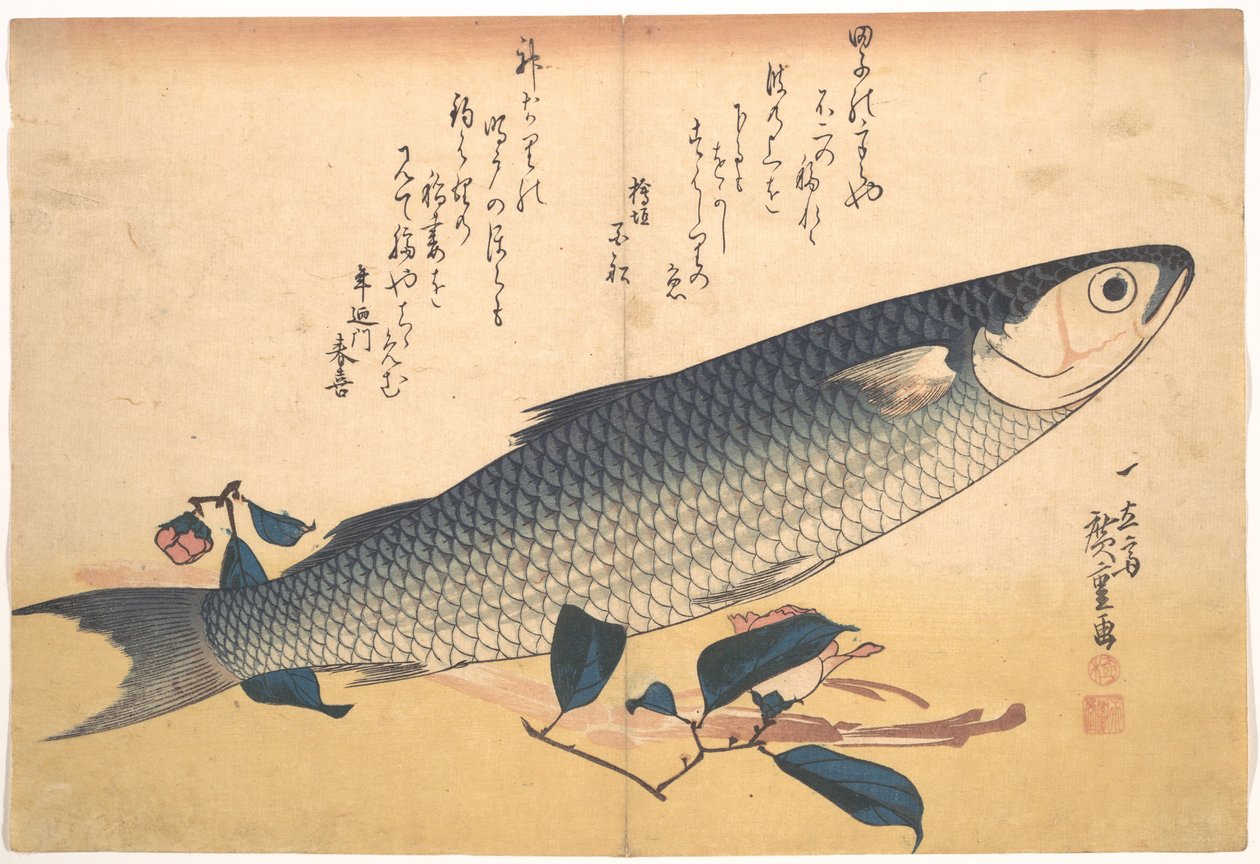 Poisson bora avec camélia, de la série Uozukushi (Toutes les variétés de poissons) - Utagawa Hiroshige