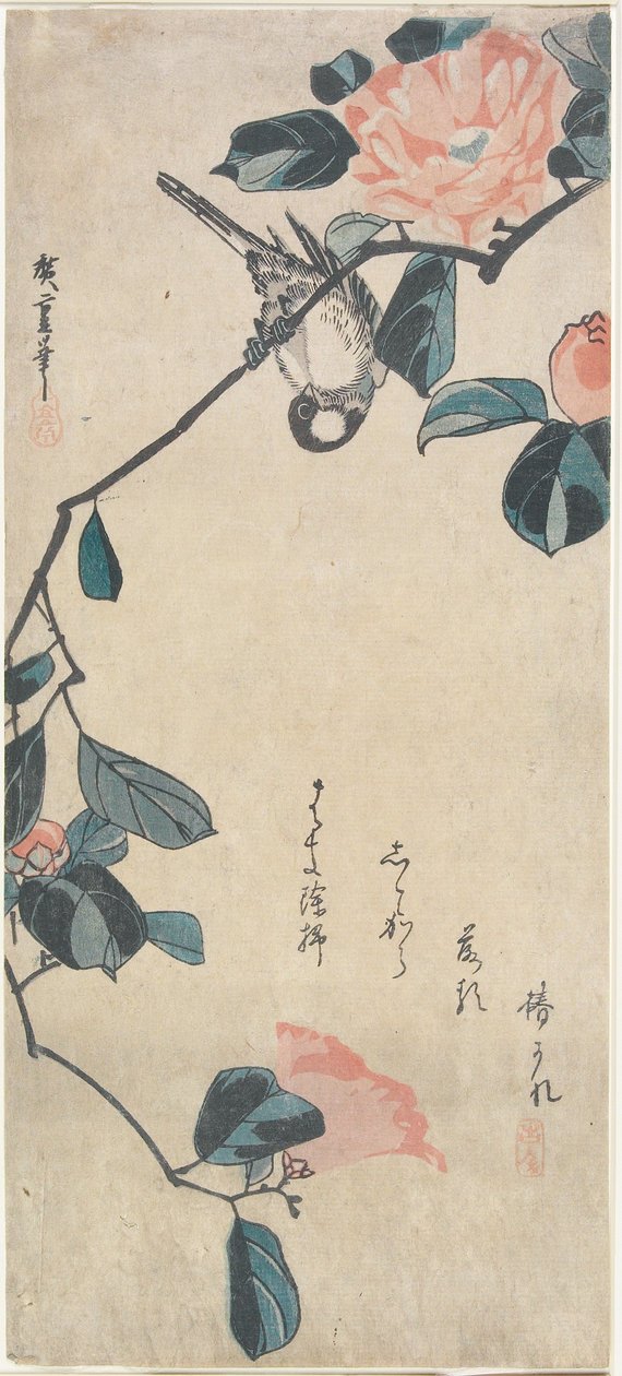 Camélia et bouvreuil - Utagawa Hiroshige