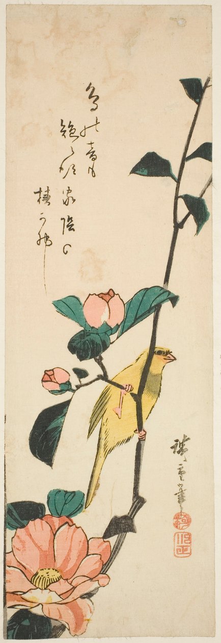 Canari et camélias - Utagawa Hiroshige