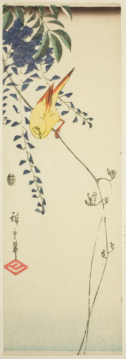 Canari et glycine - Utagawa Hiroshige