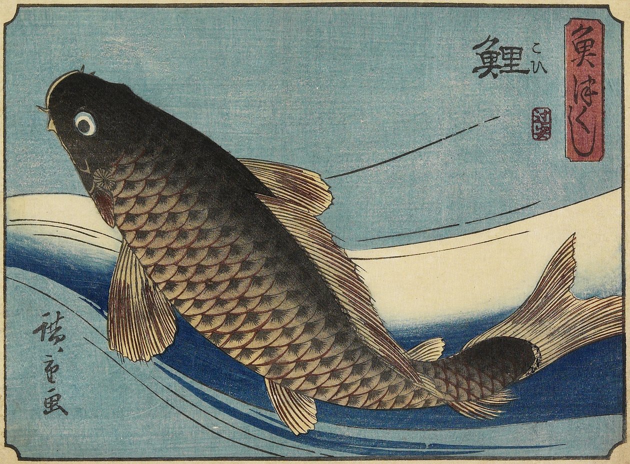 Carpe, 1830-1844 - Utagawa Hiroshige