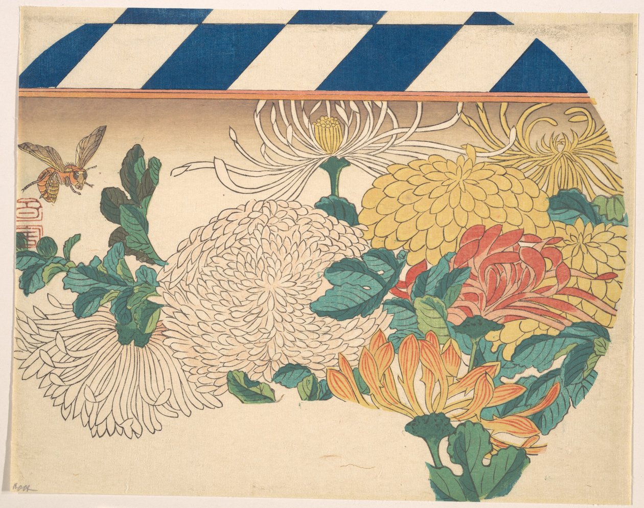Chrysanthèmes disposés en forme d