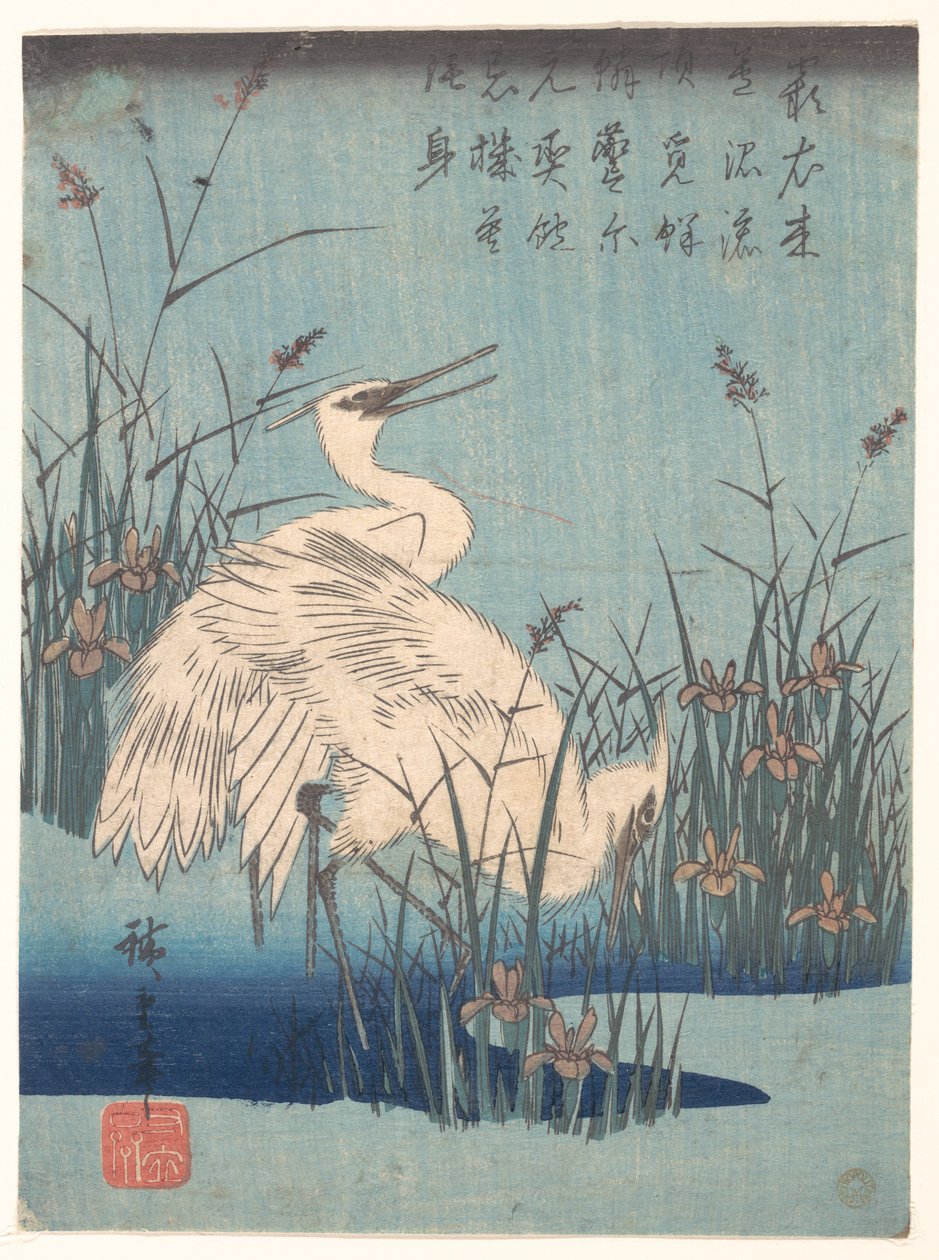 Aigrette dans les iris et les herbes - Utagawa Hiroshige