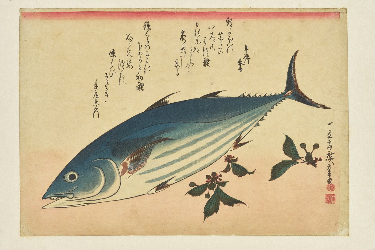 Estampe de poisson : Bonite et cerises, de la série « Un banc de poissons » - Utagawa Hiroshige