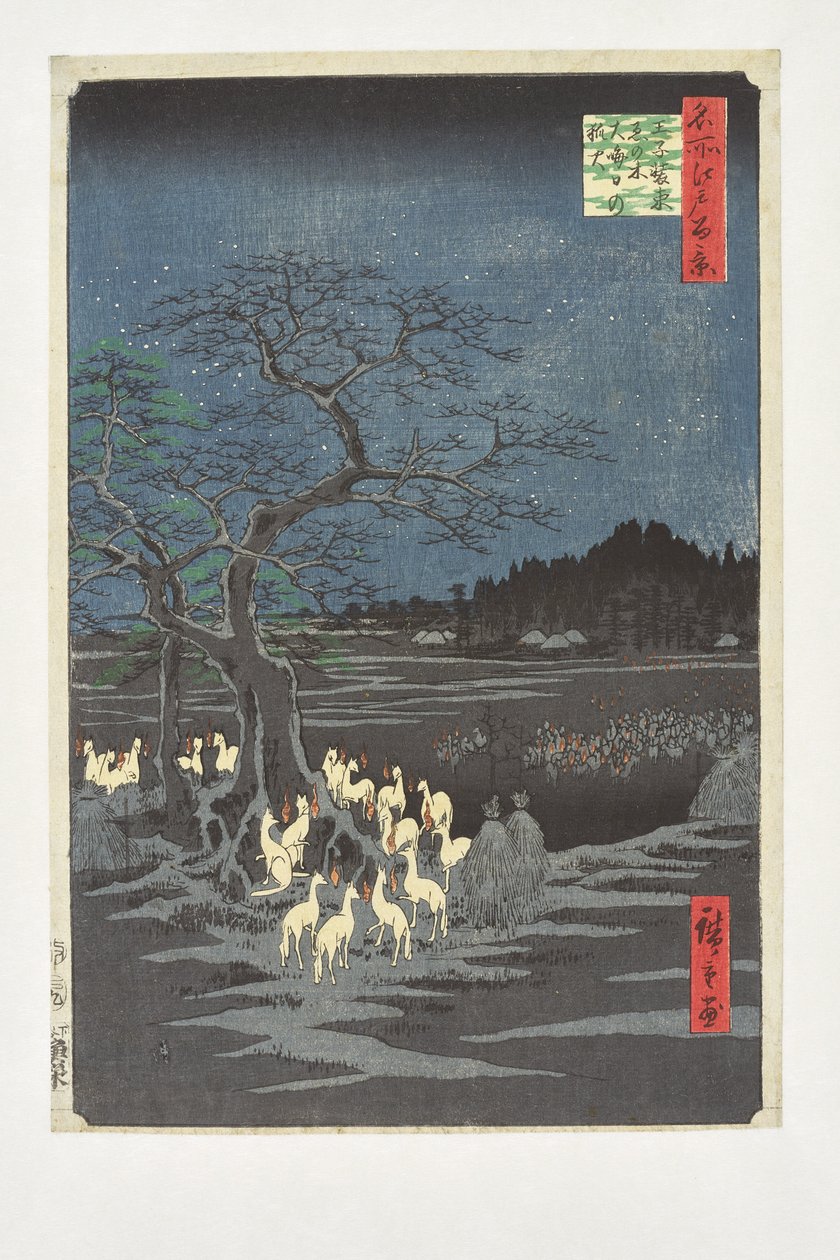 Feux de renards la nuit du Nouvel An sous l