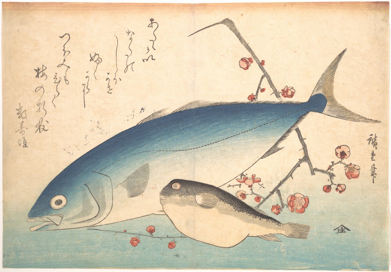 Poissons fugu et inada, de la série Uozukushi (Toutes les variétés de poissons) - Utagawa Hiroshige