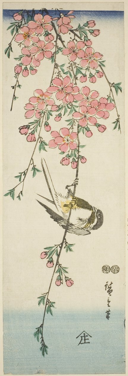 Mésange et Fleurs de Cerisier - Utagawa Hiroshige