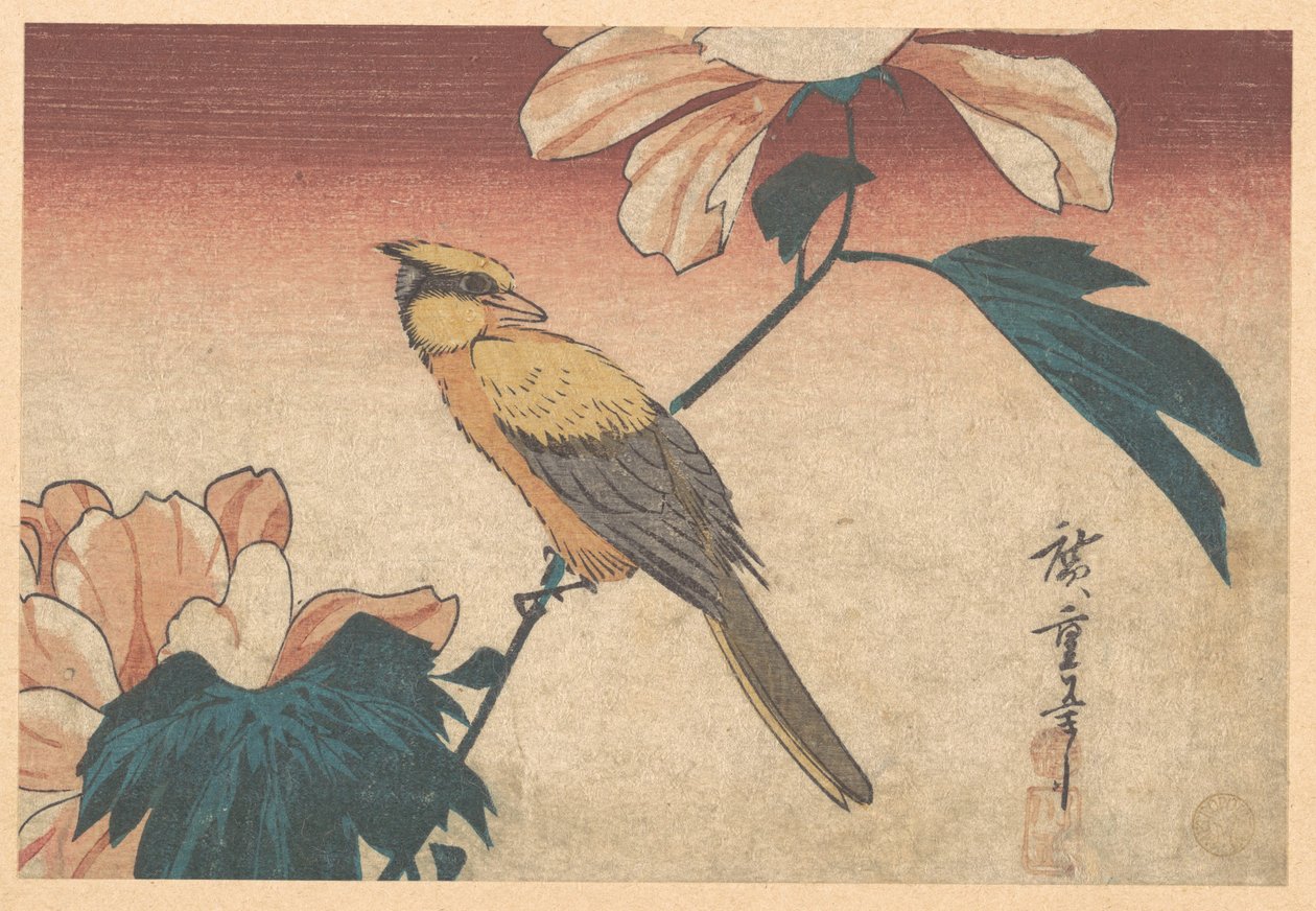 Hibiscus mutabilis et Jay - Utagawa Hiroshige