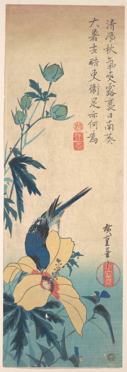 Hibiscus et merle bleu - Utagawa Hiroshige