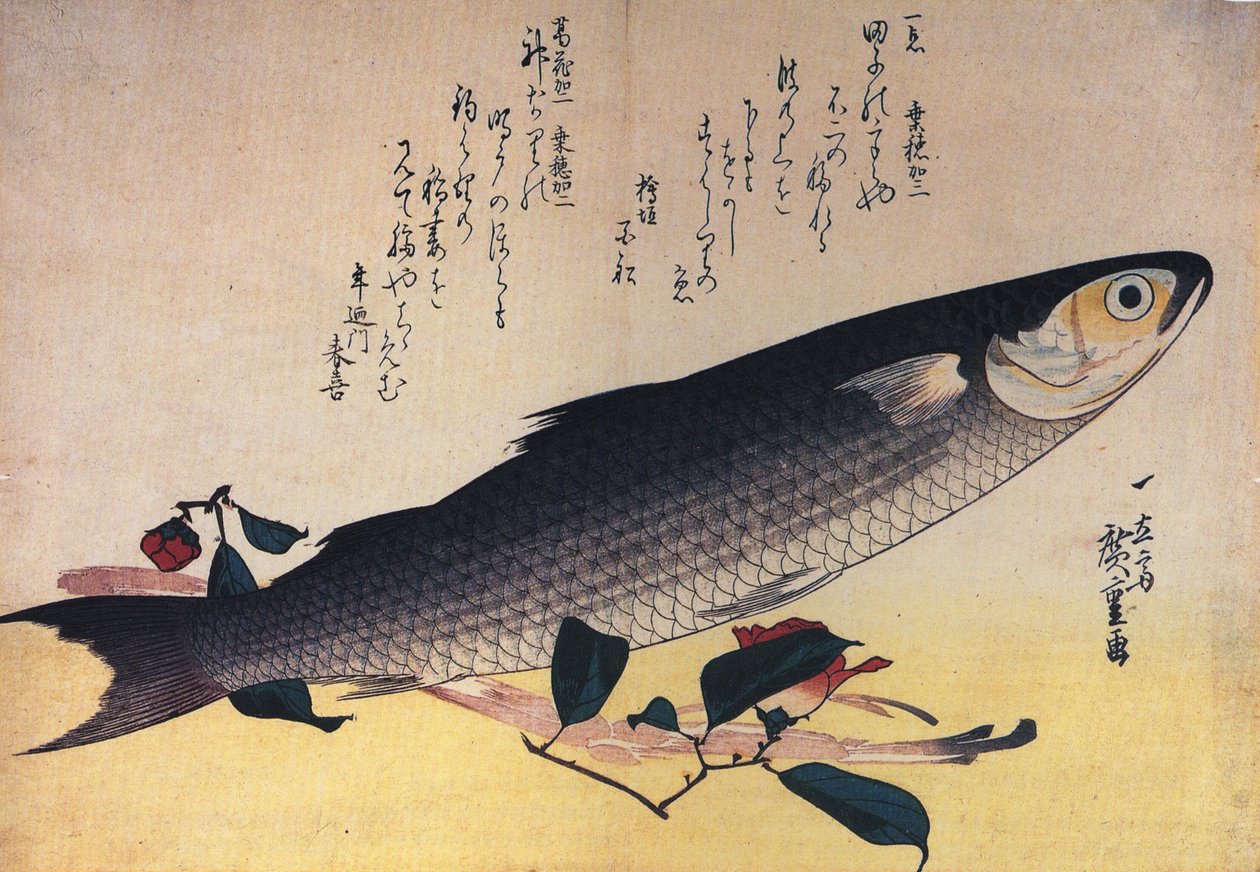 Hiroshige Mulet gris et camélia - Utagawa Hiroshige
