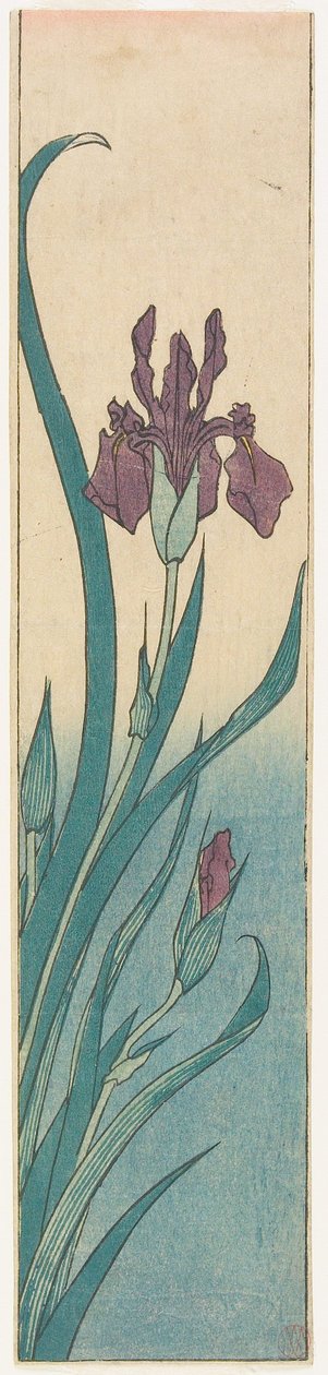 Iris - Utagawa Hiroshige