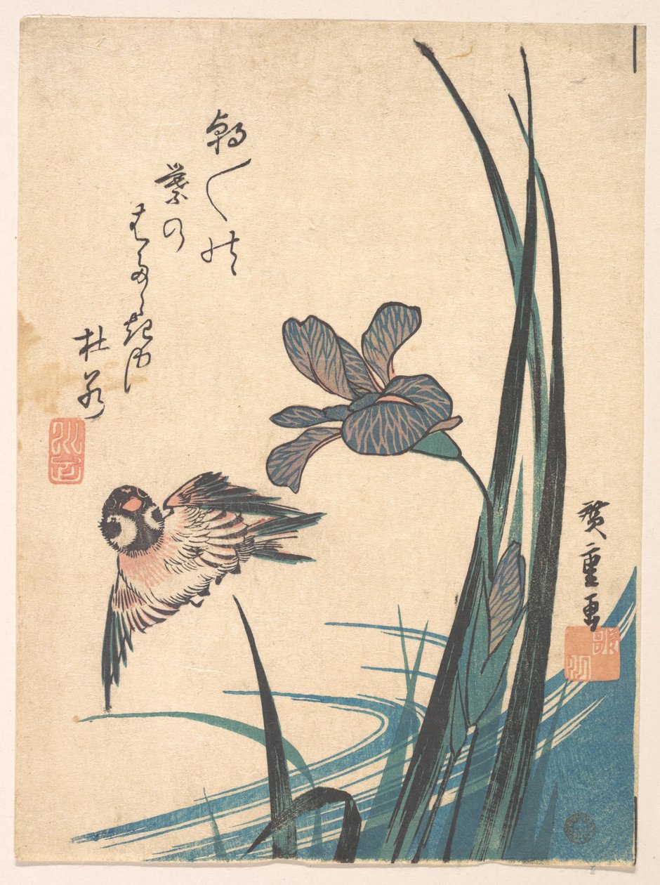 Iris et moineau - Utagawa Hiroshige