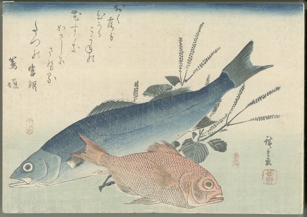 Le bar japonais, la daurade à yeux dorés et le shiso - Utagawa Hiroshige