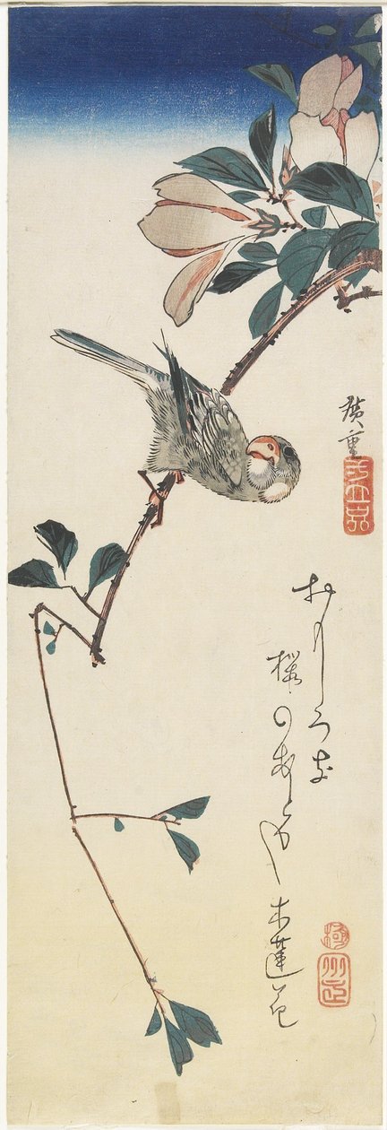 Moineau de Java et magnolia, 1834-1839 - Utagawa Hiroshige