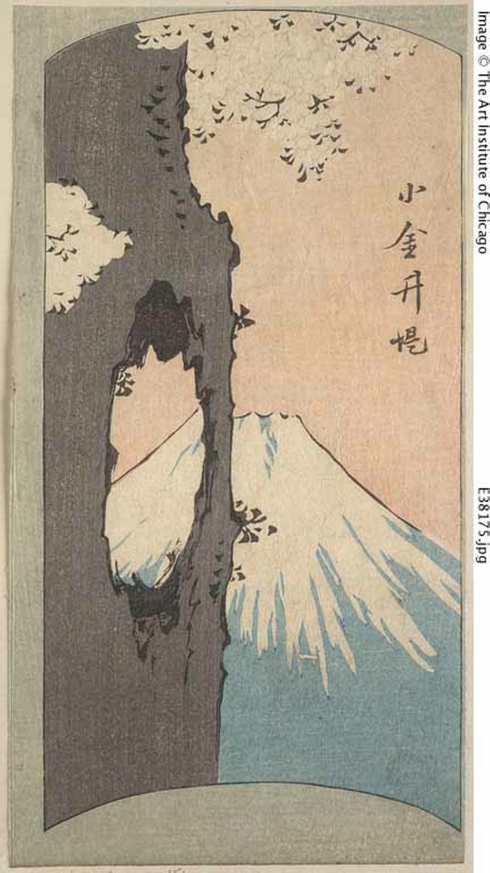 Koganei, section d