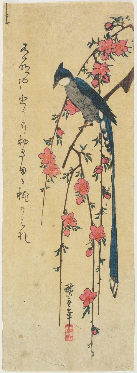 Oiseau à longue queue sur un pêcher en fleurs - Utagawa Hiroshige