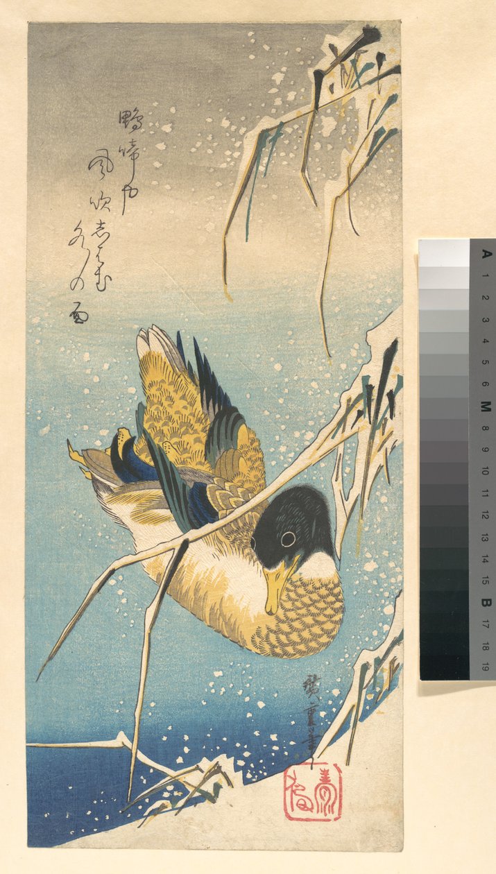 Stockente und schneebedeckte Schilfrohre - Utagawa Hiroshige
