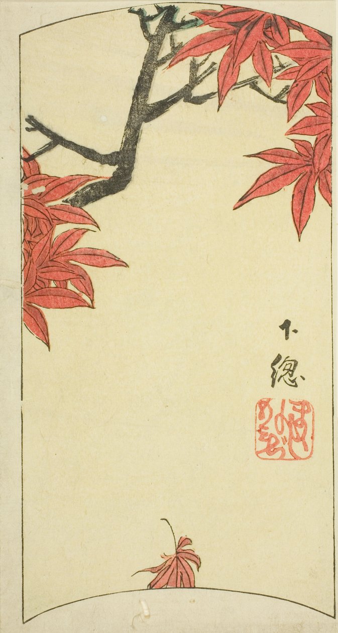 Feuilles d