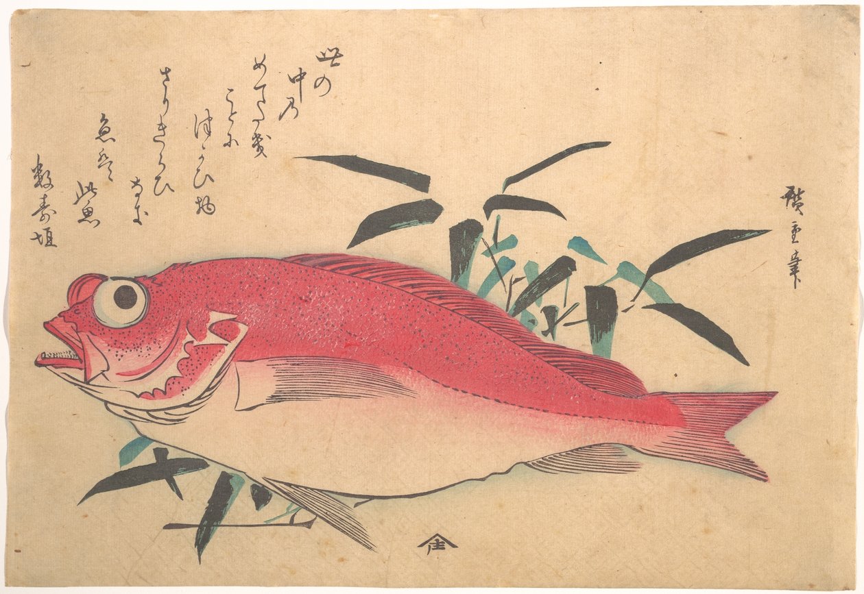 Poisson Medetai et bambou Sasaki, de la série Uozukushi (Toutes les variétés de poissons) - Utagawa Hiroshige