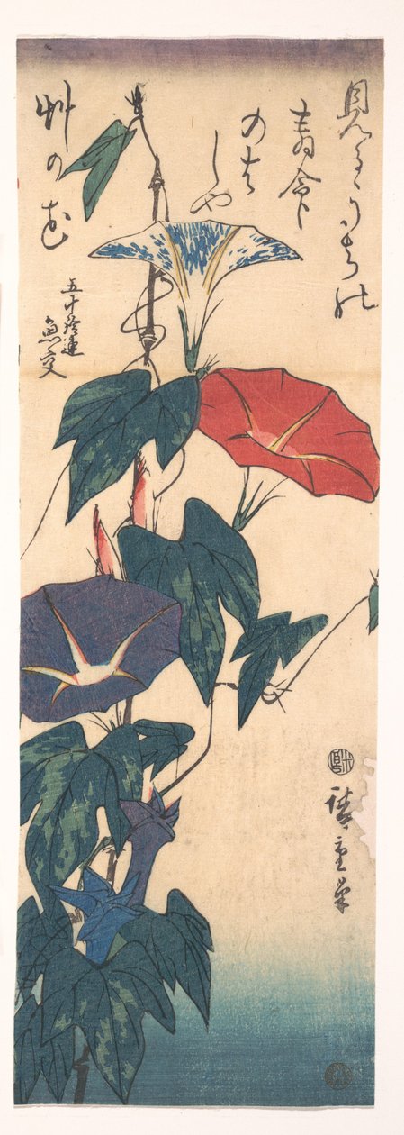 Prunkwinden - Utagawa Hiroshige