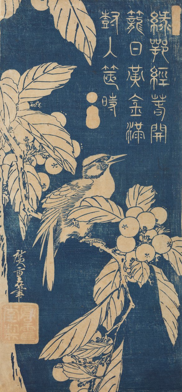 Néflier du Japon et petit oiseau / Biwa ni kotori - Utagawa Hiroshige