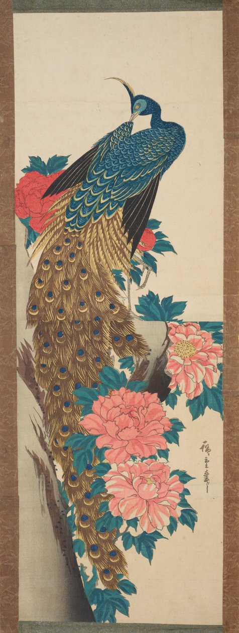 Le paon et les fleurs de pivoine / Botan ni kujaku - Utagawa Hiroshige