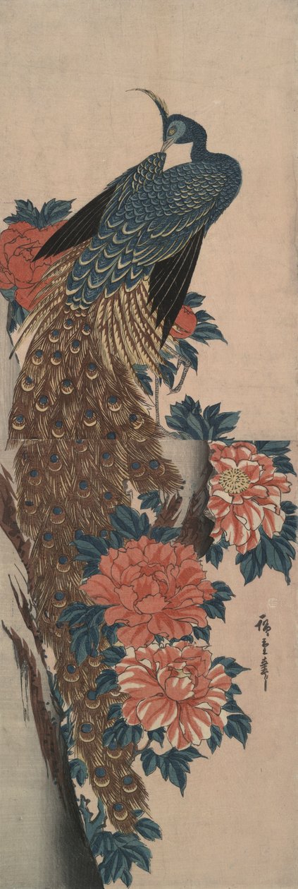 Paon et Pivoines - Utagawa Hiroshige