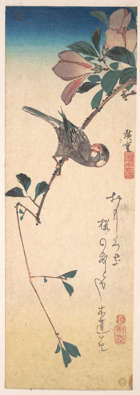 Purpurmagnolie und Hornvogel - Utagawa Hiroshige