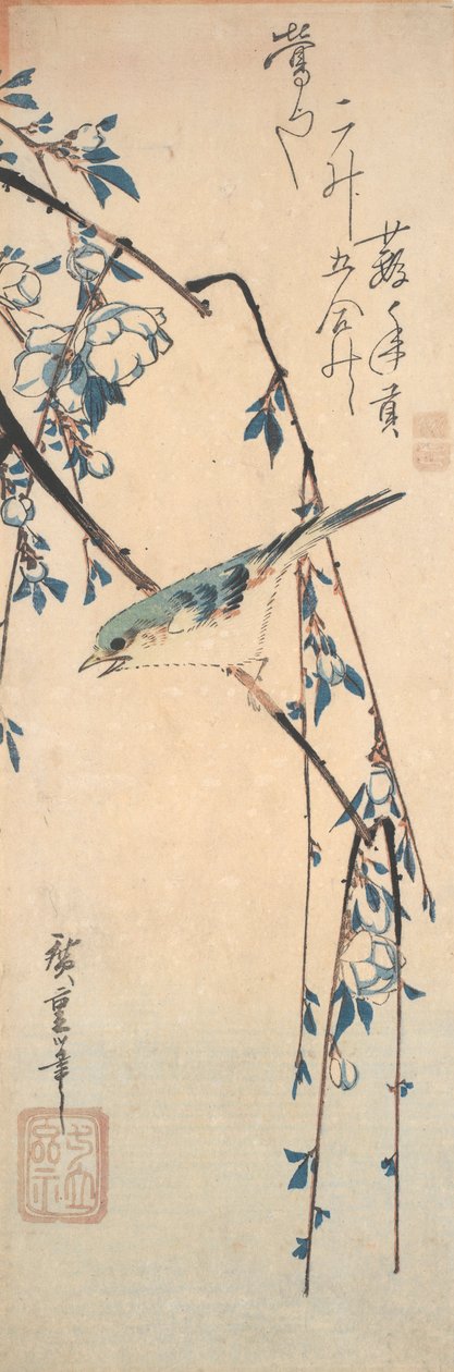 Rougequeue à flancs roux sur une branche de cerisier - Utagawa Hiroshige