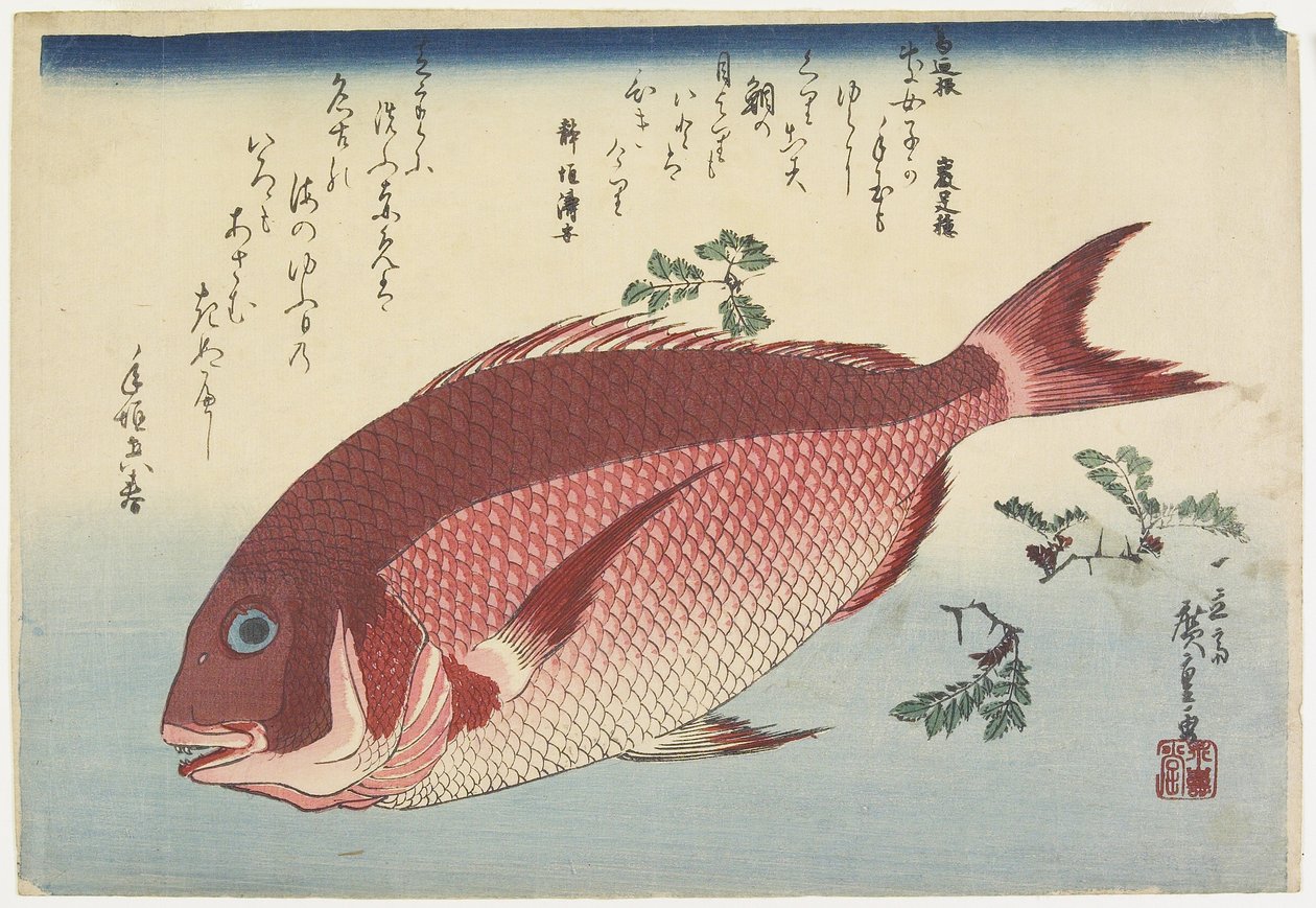 Dorade et brindilles de sansho, c. 1832 - Utagawa Hiroshige