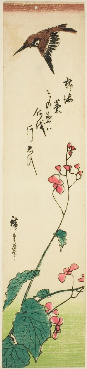 Moineau volant au-dessus des bégonias - Utagawa Hiroshige
