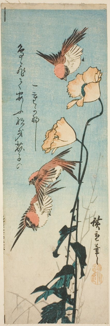Moineaux et coquelicots - Utagawa Hiroshige