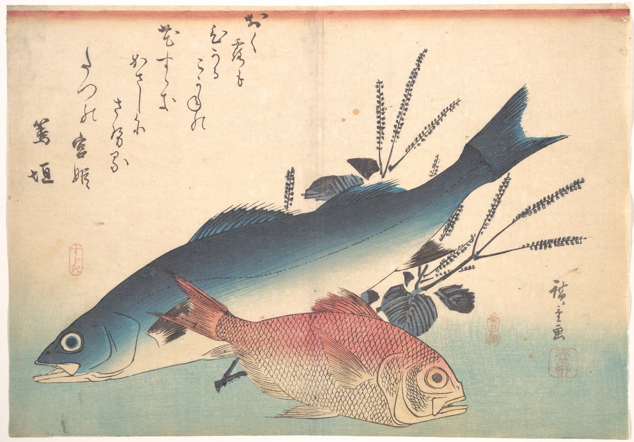 Poissons suzuki et kinmedai de la série Uozukushi (Toutes les variétés de poissons) - Utagawa Hiroshige