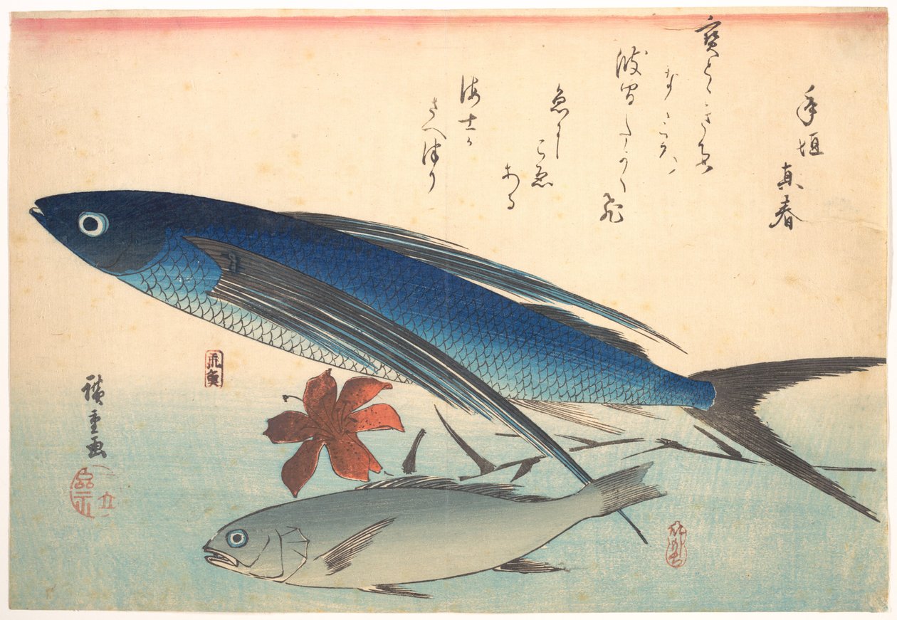 Poissons tobiuo et ishimotchi, de la série Uozukushi (Toutes les variétés de poissons) - Utagawa Hiroshige