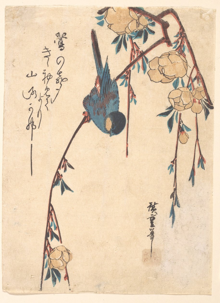 Cerisier pleureur - Utagawa Hiroshige
