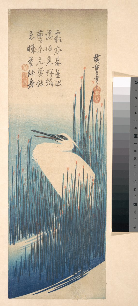 Weißer Reiher zwischen Schilf - Utagawa Hiroshige
