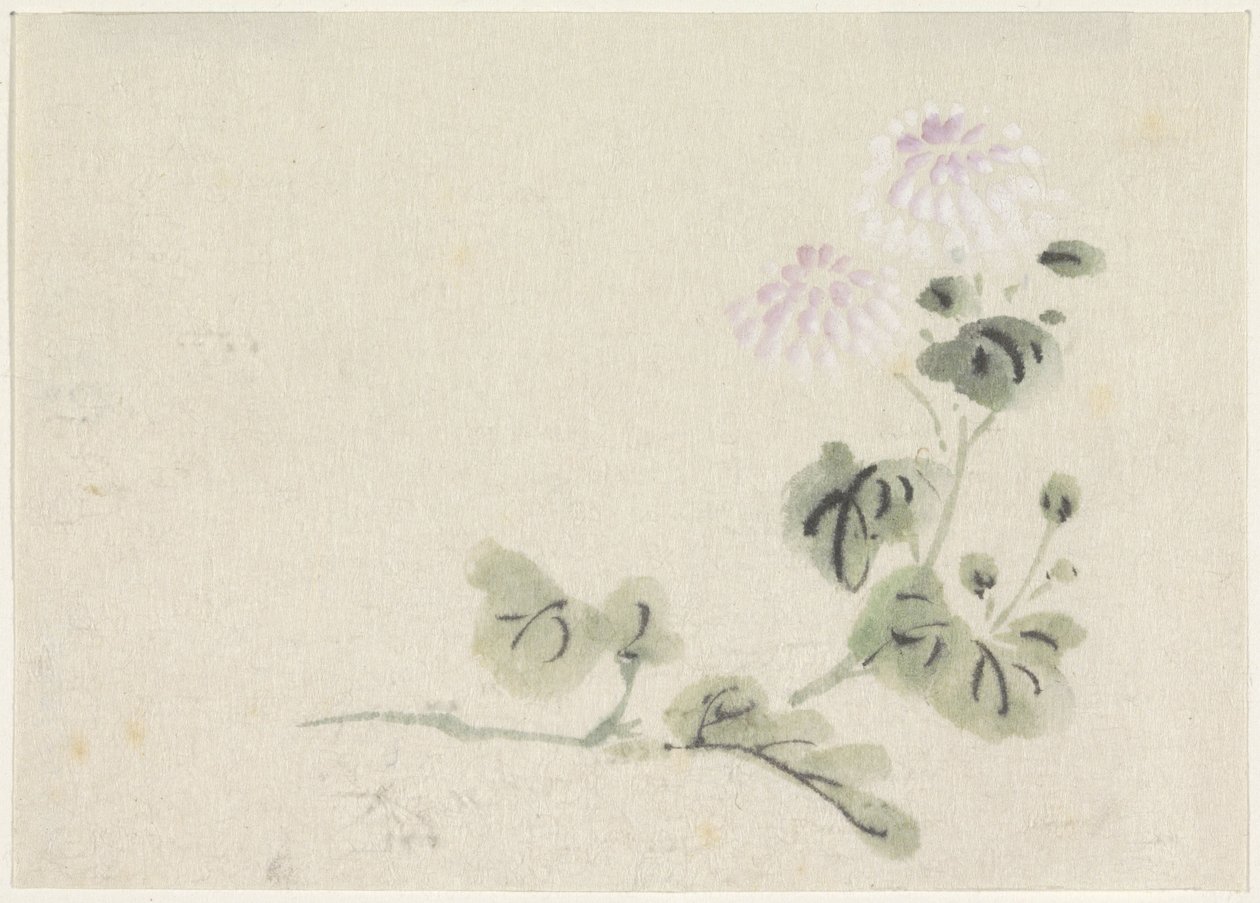 Chrysanthèmes blanc-violet - Utagawa Kuniyoshi