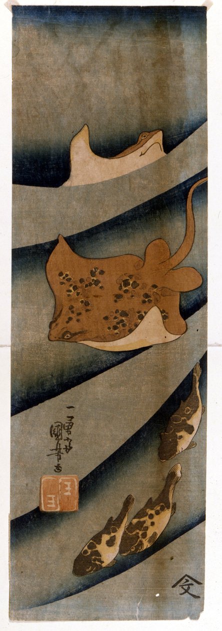Estampes de Utagawa KUNIYOSHI (1797-1861) représentant des poissons. - Utagawa Kuniyoshi