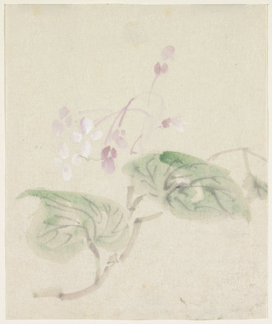 Glycine rose - Utagawa Kuniyoshi
