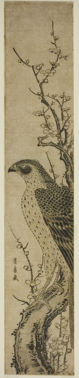 Faucon sur un cerisier - Utagawa Toyohiro