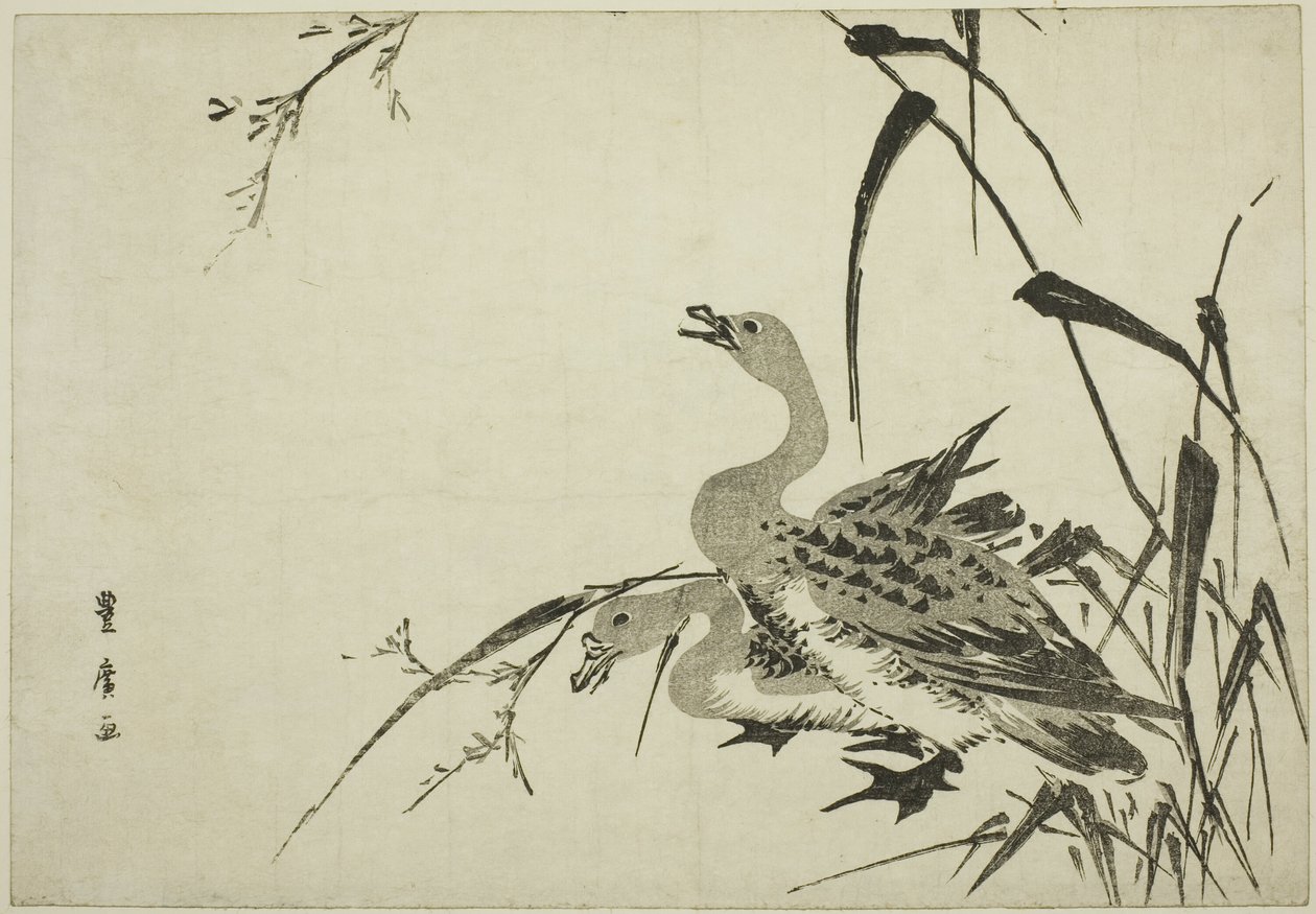 Oies sauvages et roseaux - Utagawa Toyohiro