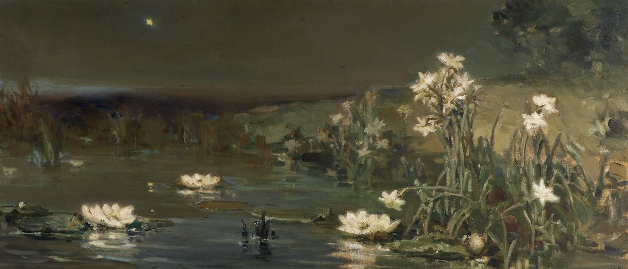 Étoile dans la nuit - Vasilii Kotarbinsky