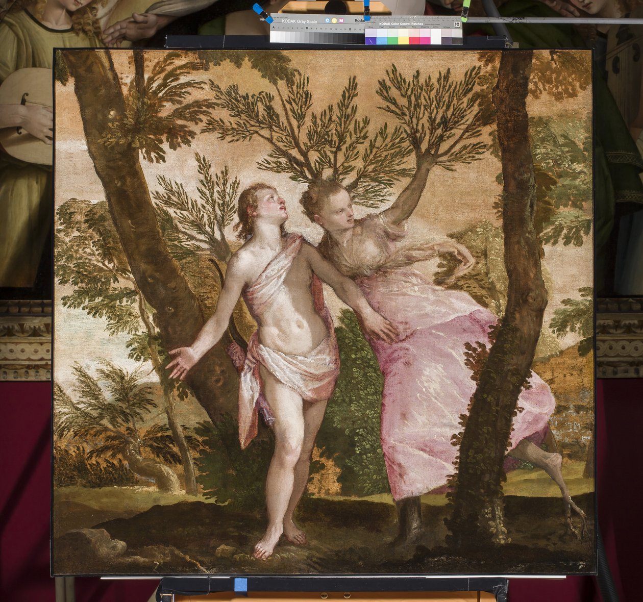 Apollon et Daphné, c.1560-65 - Paolo Veronese