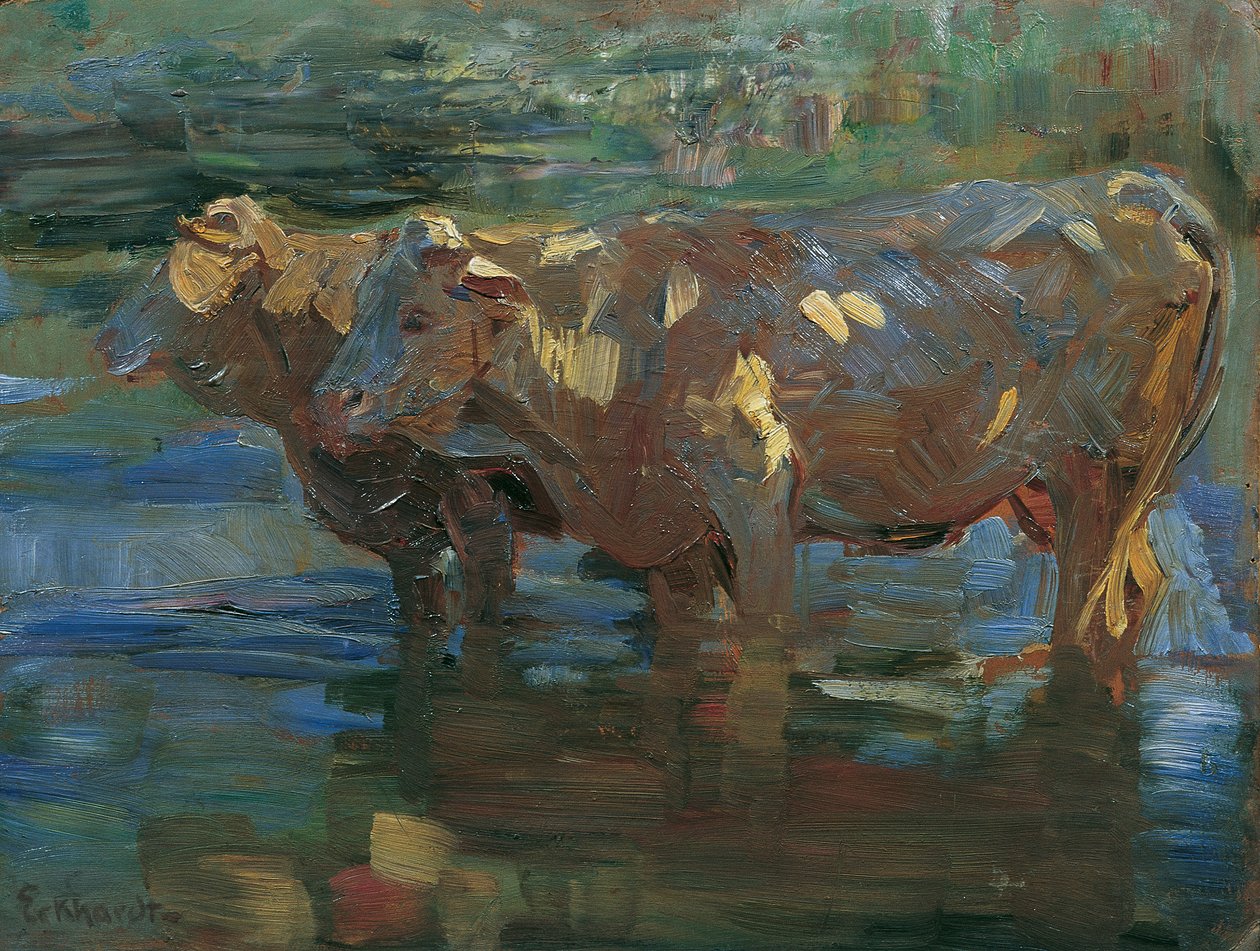 Vaches à l