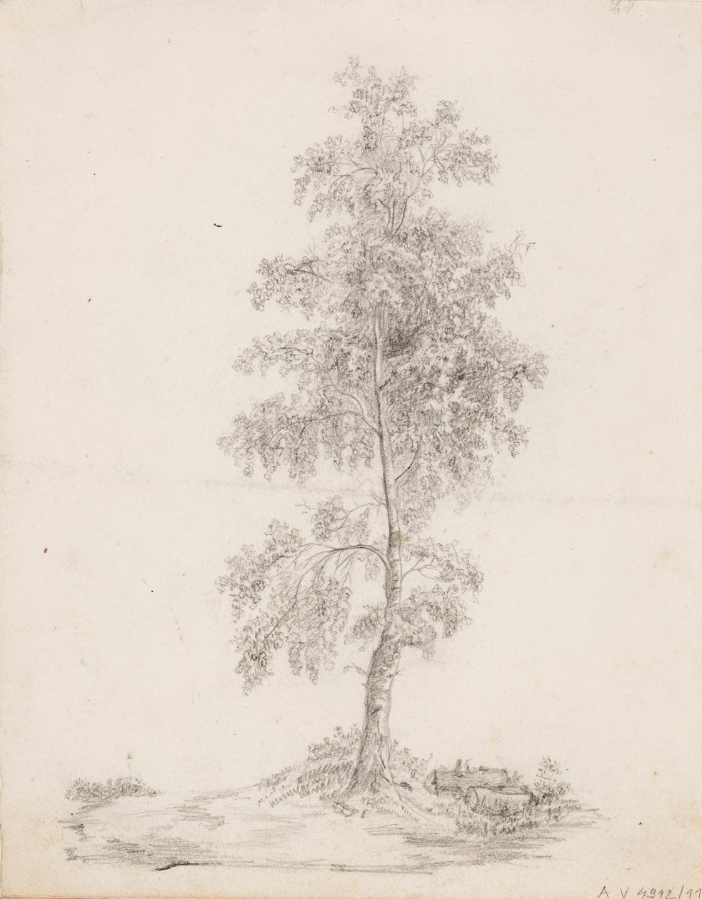 Birch - Victoria Åberg